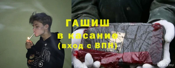 прущие грибы Кулебаки