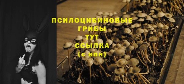 MDMA Краснослободск