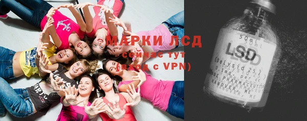 прущие грибы Кулебаки