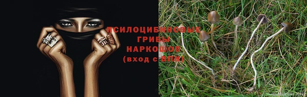 каннабис Долгопрудный